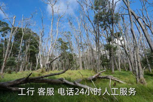  工行 客服 電話24小時人工服務(wù)