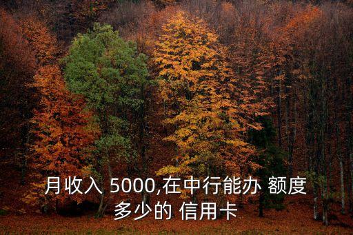 工資5000可以信用卡額度的信用卡額度多少錢