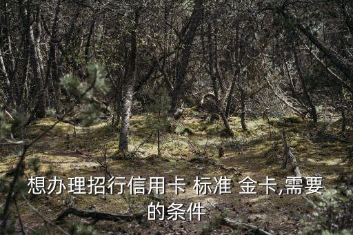 招商標(biāo)準(zhǔn)金卡多少額度嗎,招商金卡給了3000額度