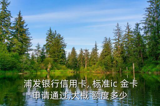 浦發(fā)銀行標(biāo)準(zhǔn)金卡額度是多少