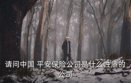 請(qǐng)問中國 平安保險(xiǎn)公司是什么性質(zhì)的公司