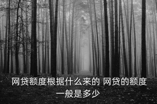  網(wǎng)貸額度根據(jù)什么來(lái)的 網(wǎng)貸的額度一般是多少