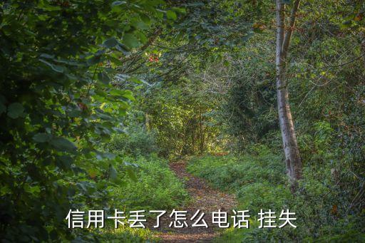 信用卡丟了怎么電話 掛失
