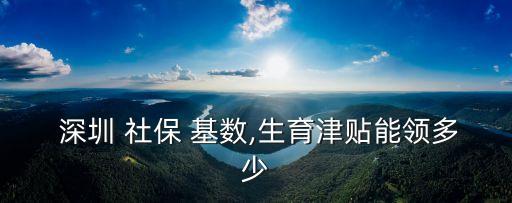  深圳 社保 基數(shù),生育津貼能領多少