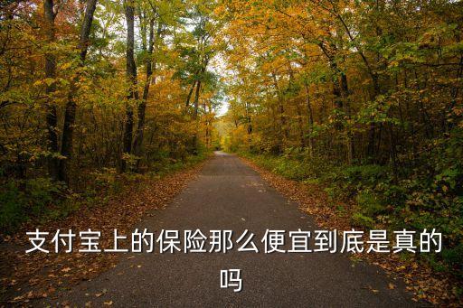 支付寶買保險優(yōu)惠多少錢,在支付寶買保險安全嗎可靠嗎