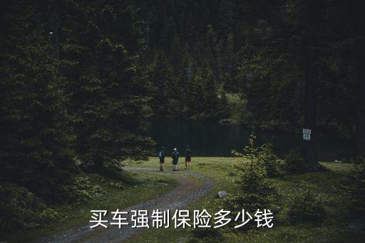 盜強(qiáng)險(xiǎn)最低多少錢,車輛強(qiáng)險(xiǎn)最低能降到多少
