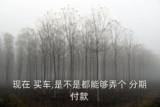 現(xiàn)在 買(mǎi)車,是不是都能夠弄個(gè) 分期付款