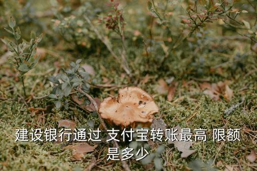 建設(shè)銀行通過 支付寶轉(zhuǎn)賬最高 限額是多少