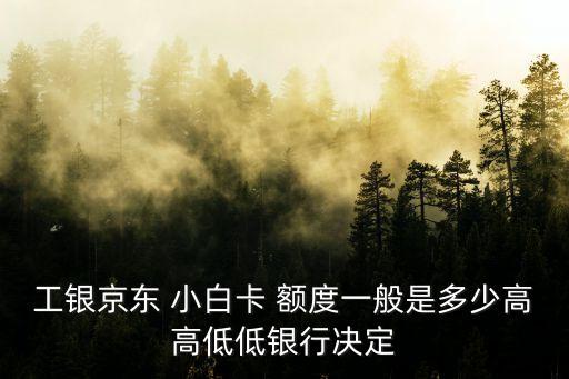小白信用卡最高額度是多少錢,工行京東小白信用卡額度