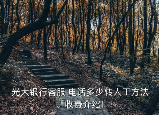  光大銀行客服 電話多少轉(zhuǎn)人工方法、收費介紹!