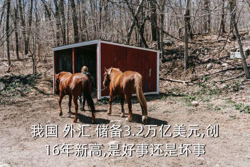 中國外匯儲備多少合適,中國的外匯儲備達(dá)到多少了