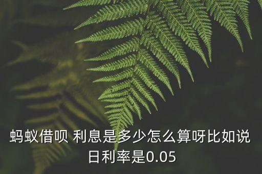 支付寶借唄5萬(wàn)多少利息是多少錢(qián),目前支付寶借唄利息多少