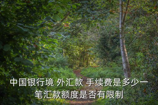 外匯境外轉(zhuǎn)賬手續(xù)費是多少,中國銀行之間外匯轉(zhuǎn)賬手續(xù)費