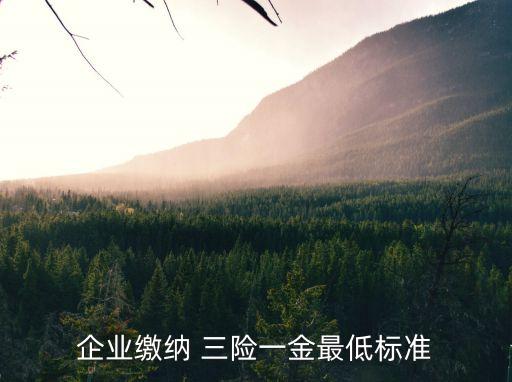 企業(yè)繳納 三險(xiǎn)一金最低標(biāo)準(zhǔn)