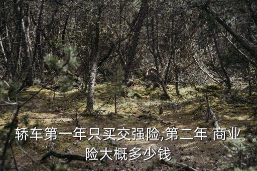 轎車第一年只買交強(qiáng)險(xiǎn),第二年 商業(yè)險(xiǎn)大概多少錢