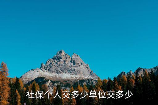 醫(yī)保社保公司交多少錢,今年醫(yī)保社保要交多少錢