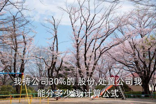 我持公司30%的 股份,處置公司我能分多少錢,計(jì)算公式