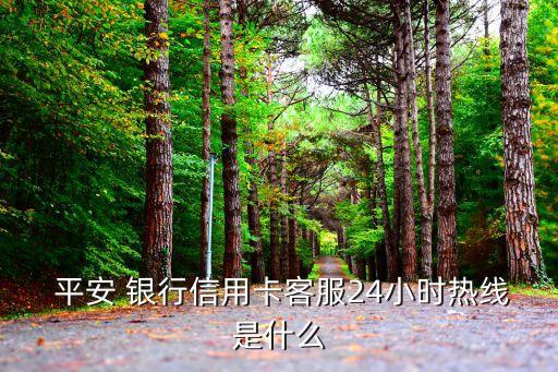 南昌平安銀行電話多少時間,平安銀行信用卡電話多少