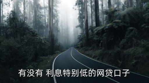 有沒有 利息特別低的網(wǎng)貸口子
