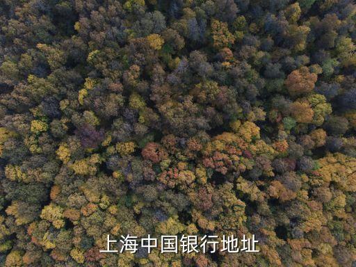 中行上海龍華支行電話是多少,深圳中行龍華支行電話