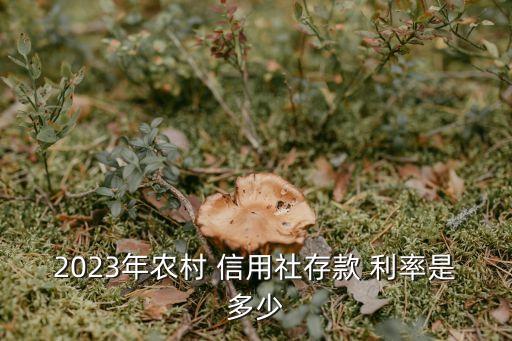 信用社銀行定期利率是多少錢,農(nóng)村銀行信用社利率是多少