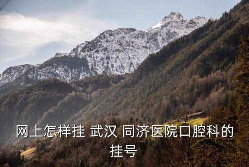 網(wǎng)上怎樣掛 武漢 同濟醫(yī)院口腔科的掛號
