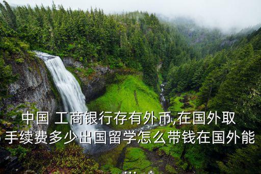 工商銀行借記卡境外取款手續(xù)費(fèi)多少,境外工商銀行借記卡銀聯(lián)在國內(nèi)取款