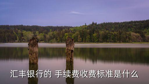 香港賬戶收款手續(xù)費多少錢,微信經(jīng)營賬戶收款為什么要手續(xù)費呢