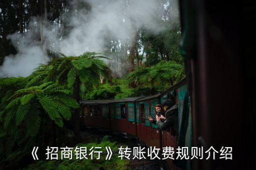 《 招商銀行》轉(zhuǎn)賬收費(fèi)規(guī)則介紹