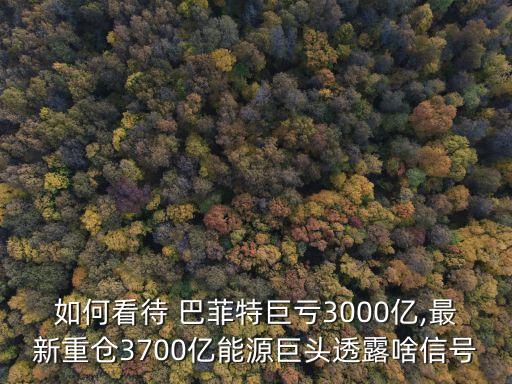 如何看待 巴菲特巨虧3000億,最新重倉(cāng)3700億能源巨頭透露啥信號(hào)