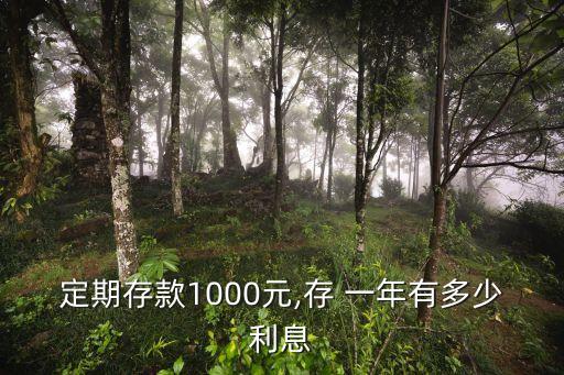 在銀行存一千塊一年會(huì)扣多少,一千塊存銀行定期一年