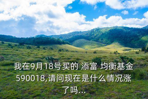 我在9月18號買的 添富 均衡基金590018,請問現(xiàn)在是什么情況漲了嗎...