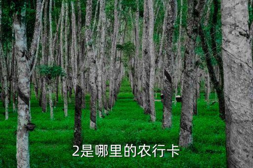南陽(yáng)農(nóng)業(yè)銀行支行地址電話是多少,農(nóng)業(yè)銀行南陽(yáng)百里奚支行