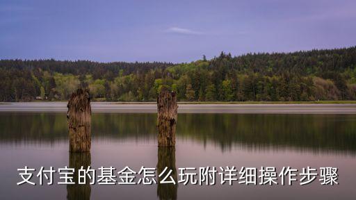 支付寶的基金怎么玩附詳細(xì)操作步驟