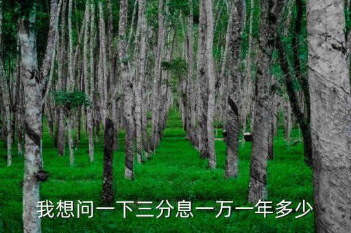 我想問(wèn)一下三分息一萬(wàn)一年多少