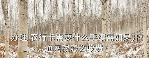 辦理農(nóng)行卡網(wǎng)銀多少錢,農(nóng)行辦理企業(yè)網(wǎng)銀需要什么資料
