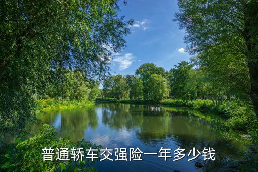 普通轎車交強險一年多少錢