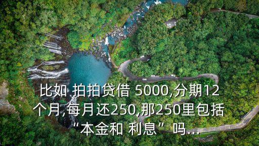 拍拍貸5000利息多少