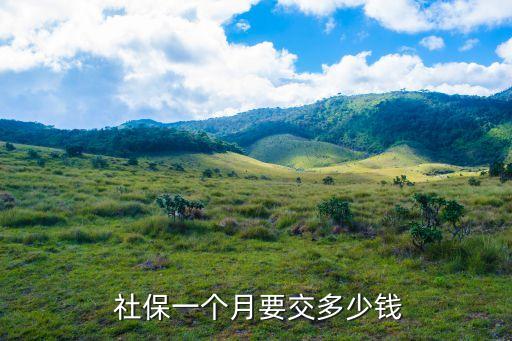  社保一個月要交多少錢