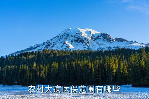 社保重大疾病多少種,有社保還要買重大疾病保險嗎