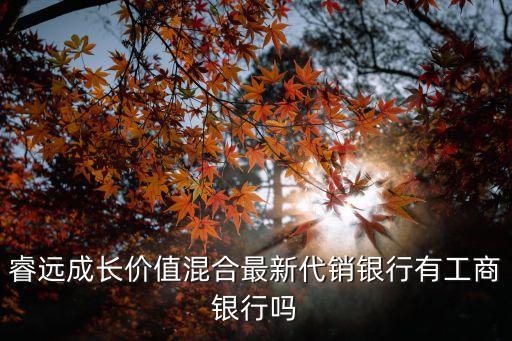 睿遠成長價值混合最新代銷銀行有工商銀行嗎