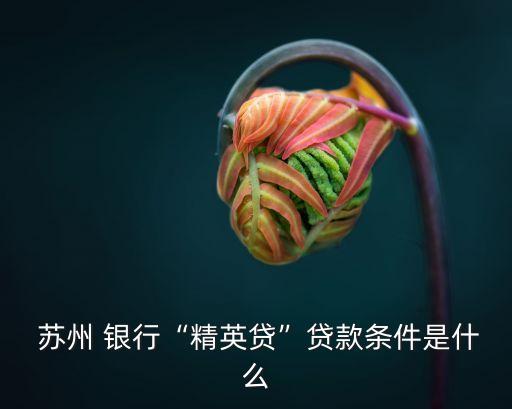  蘇州 銀行“精英貸”貸款條件是什么