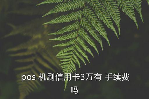  pos 機刷信用卡3萬有 手續(xù)費嗎