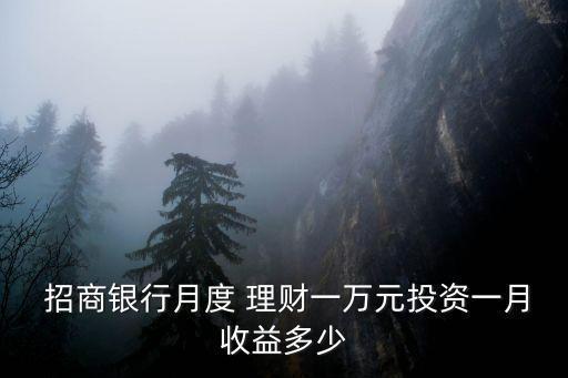  招商銀行月度 理財(cái)一萬元投資一月收益多少