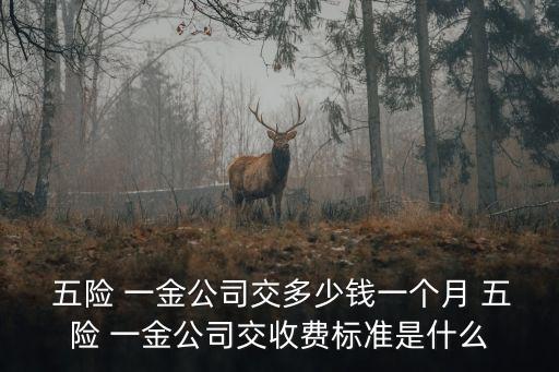 五險一金 什么費用多少錢,上海五險一金指什么多少錢