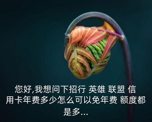 您好,我想問(wèn)下招行 英雄 聯(lián)盟 信用卡年費(fèi)多少怎么可以免年費(fèi) 額度都是多...