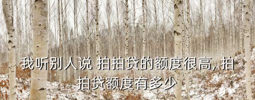 我聽別人說 拍拍貸的額度很高, 拍拍貸額度有多少