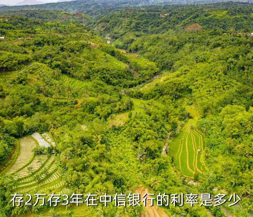 存2萬存3年在中信銀行的利率是多少