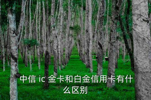  中信 ic 金卡和白金信用卡有什么區(qū)別