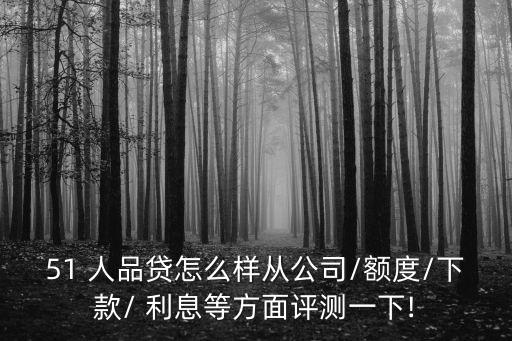 51 人品貸怎么樣從公司/額度/下款/ 利息等方面評(píng)測一下!